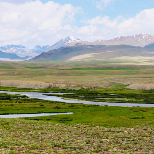 Vast green grassland and Sheosar Lake on the Deosai Plains, Gilgit-Baltistan