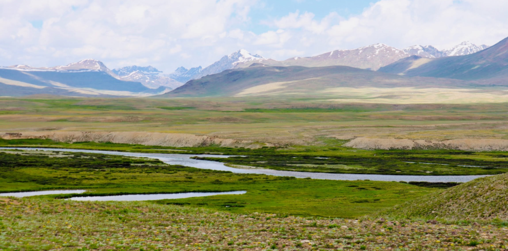 Vast green grassland and Sheosar Lake on the Deosai Plains, Gilgit-Baltistan