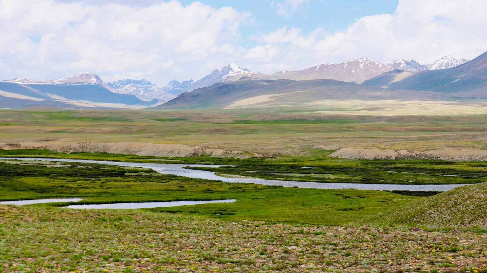 Vast green grassland and Sheosar Lake on the Deosai Plains, Gilgit-Baltistan