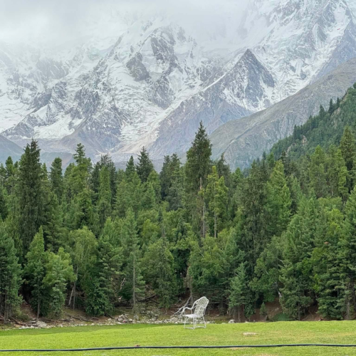 Wooden cottages at Fairy Meadows with Nanga Parbat mountain in the background