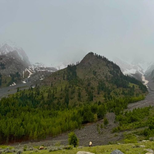 Turquoise Satrangi Lake surrounded by pine forest in Naltar Valley, Gilgit-Baltistan