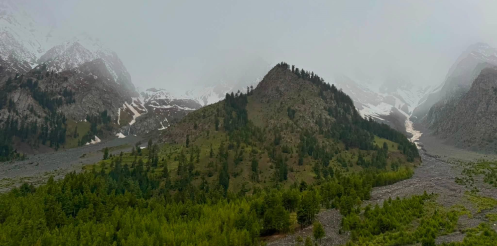 Turquoise Satrangi Lake surrounded by pine forest in Naltar Valley, Gilgit-Baltistan