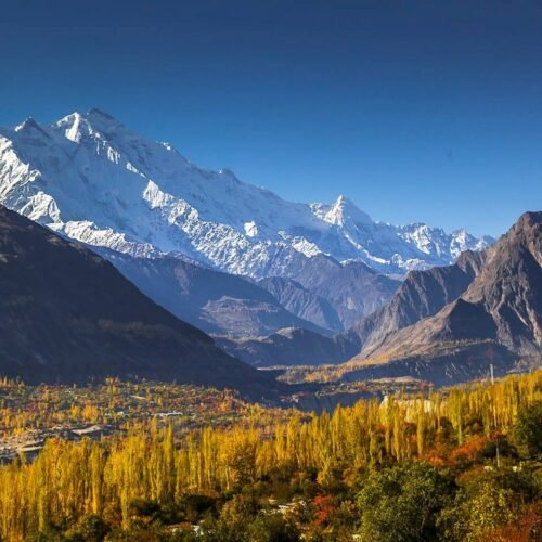 Golden autumn trees along the Karakoram Highway with Rakaposhi peak in the background, Hunza Valley