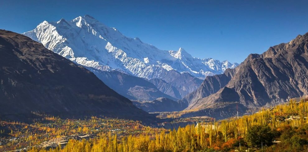 Golden autumn trees along the Karakoram Highway with Rakaposhi peak in the background, Hunza Valley