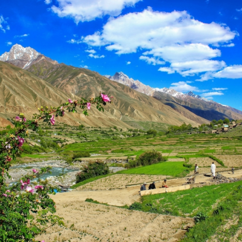 Green meadow campsite at Thalle Broq with Karakoram peaks in the background, Khaplu