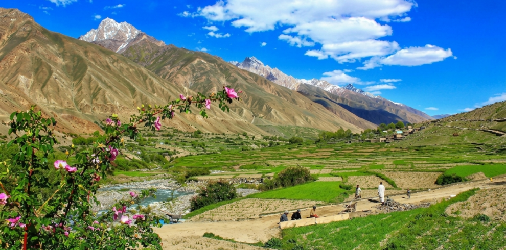 Green meadow campsite at Thalle Broq with Karakoram peaks in the background, Khaplu