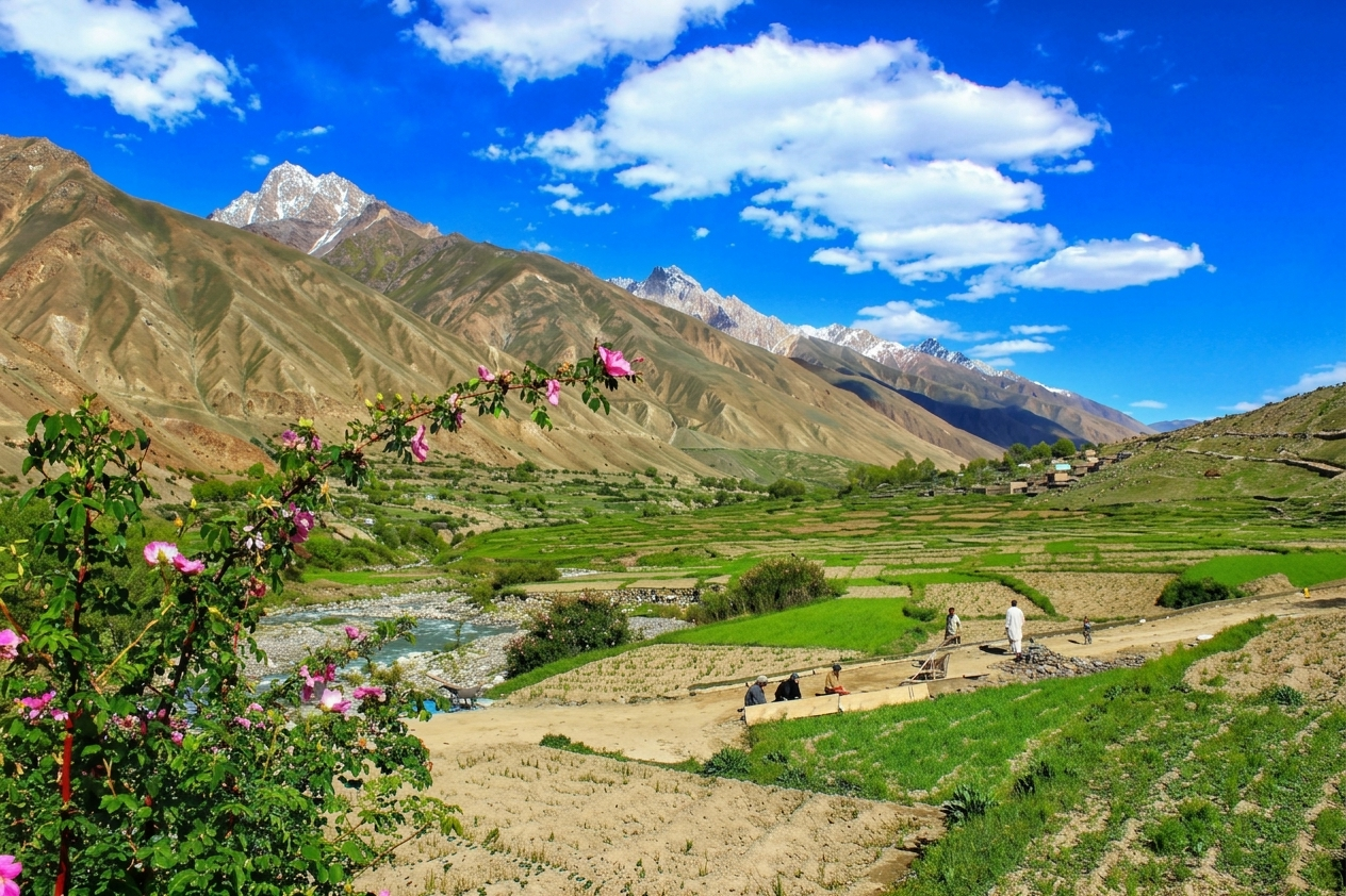 Green meadow campsite at Thalle Broq with Karakoram peaks in the background, Khaplu
